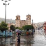 Cusco: reforestan más de 180 hectáreas  para mitigar efectos del cambio climático