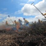 DICAPI: ejercicio por derrame de hidrocarburos en Pisco